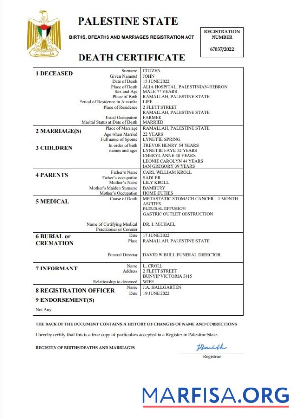 Realistic Palestine vital record death certificate Word and PDF template
